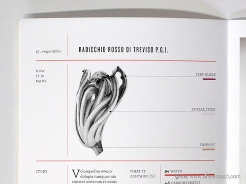 tenuta 農(nóng)產(chǎn)品企業(yè)品牌形象設計人物logo設計包裝設計網(wǎng)站設計 上海品牌設計公司